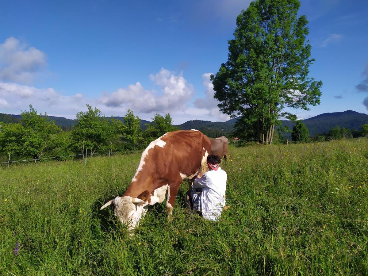 Tourist Farm Strle With Great Local Food Villa Cerknica Dış mekan fotoğraf