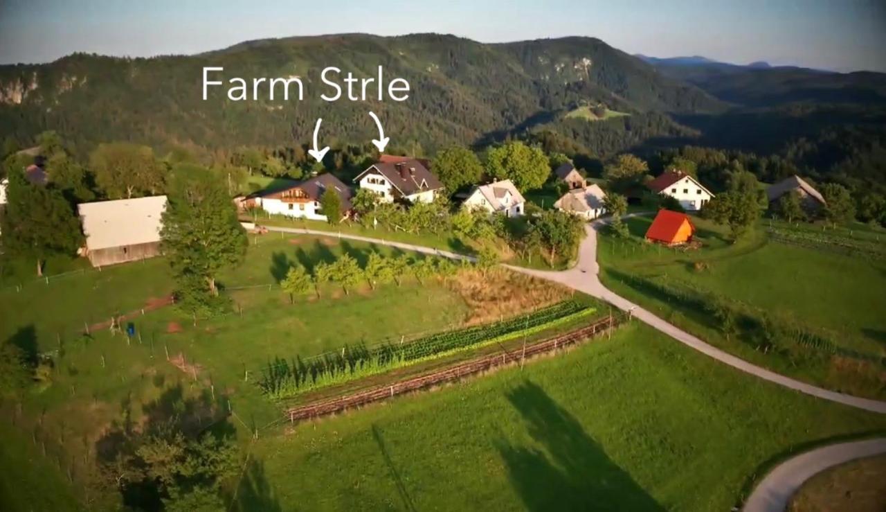 Tourist Farm Strle With Great Local Food Villa Cerknica Dış mekan fotoğraf