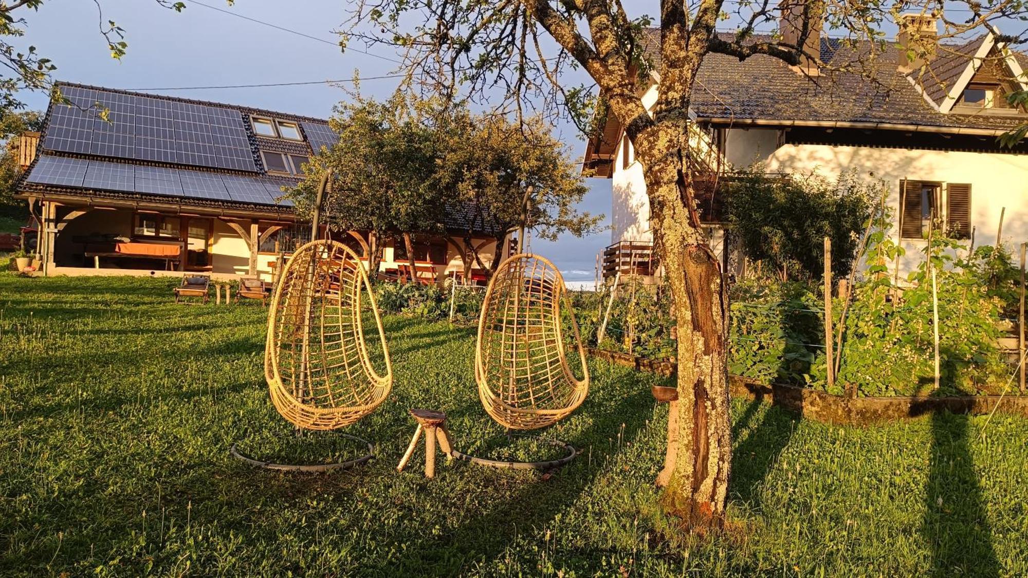 Tourist Farm Strle With Great Local Food Villa Cerknica Dış mekan fotoğraf