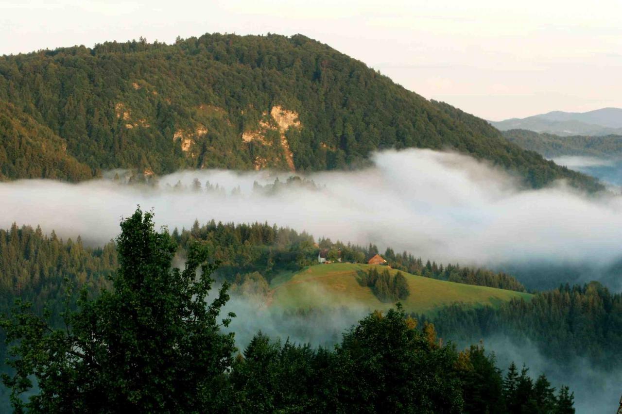 Tourist Farm Strle With Great Local Food Villa Cerknica Dış mekan fotoğraf