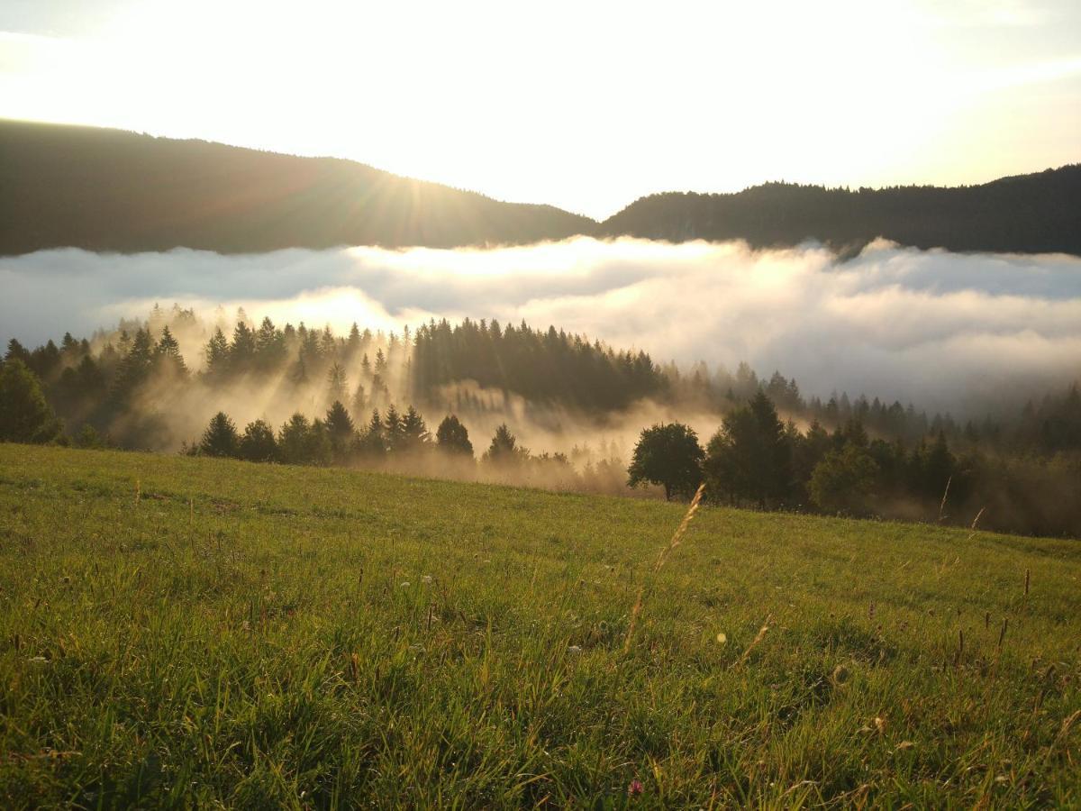Tourist Farm Strle With Great Local Food Villa Cerknica Dış mekan fotoğraf